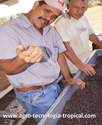 al apretar el sustrato con un puño se revisa la humedad ideal